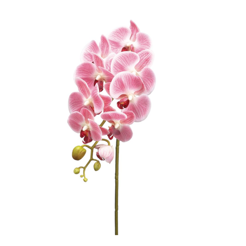 Tallo de orquidea lavanda de 30"