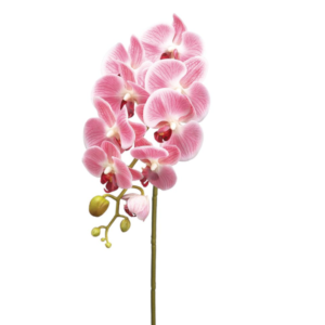 Tallo de orquidea lavanda de 30"