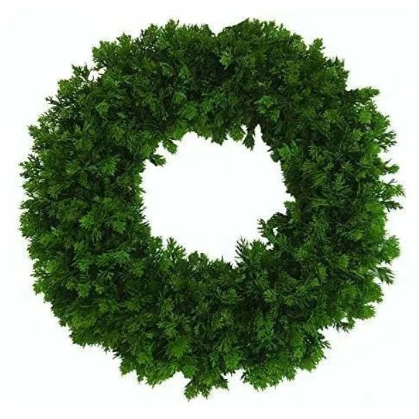 Corona Navidela Belgica, Verde