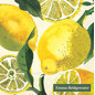 Servilletas de papel de 5 x 5"  limon 20u