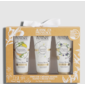 Set de 4 jabones de 100 gr