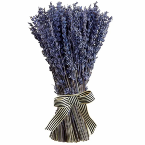 Paquete de Lavanda