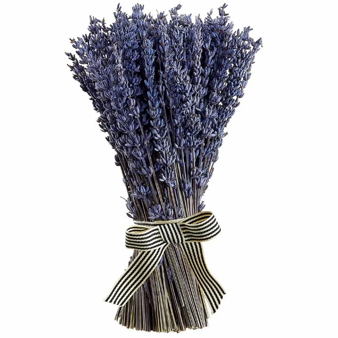 Paquete de Lavanda