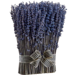 Paquete de Lavanda