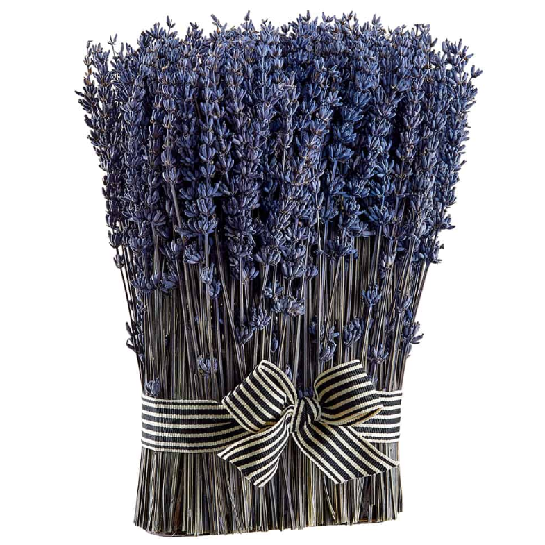 Paquete de Lavanda