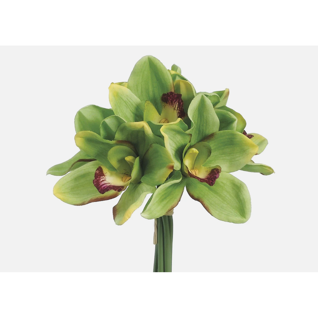 Ramo de Cymbidium Verde