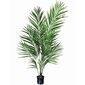 Palmera Areca en maceta negra