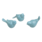 Pajaro aqua diferentes estilos
