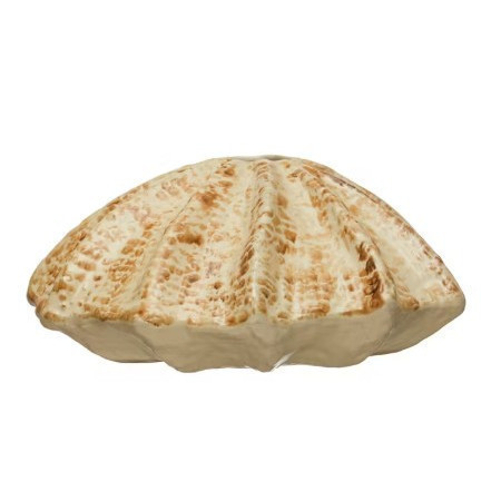 Vasse Shell Shaped, Crema