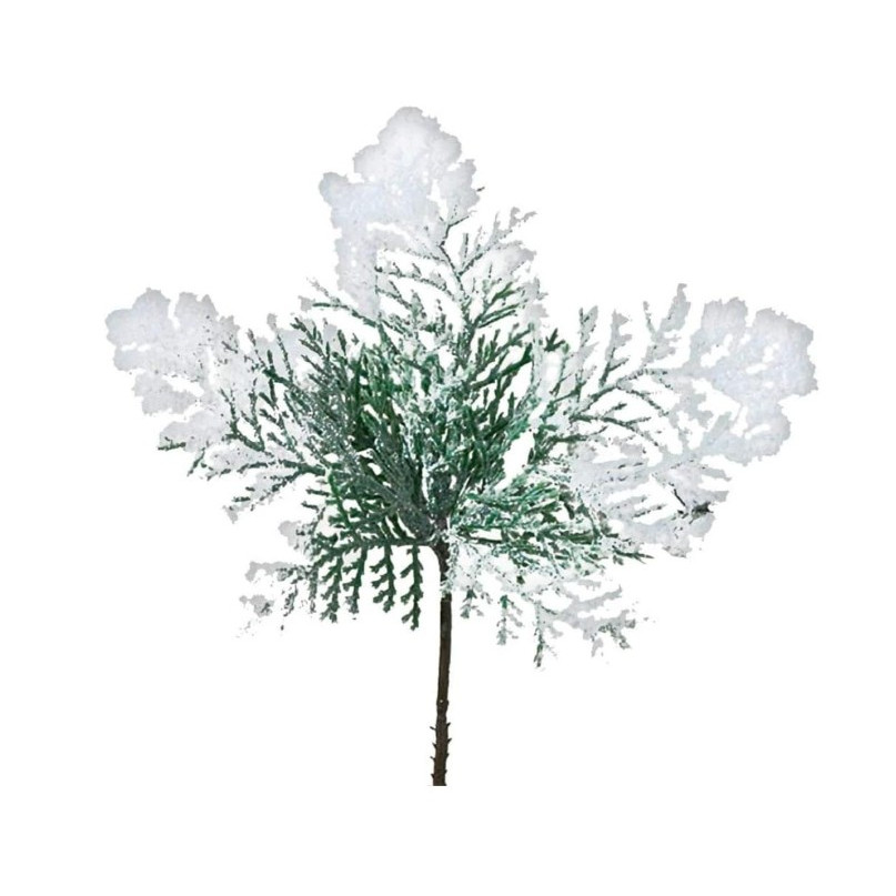 Ramo de cedro nevado