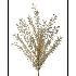 Spray de lentejuelas artemesia en color plateado 24"