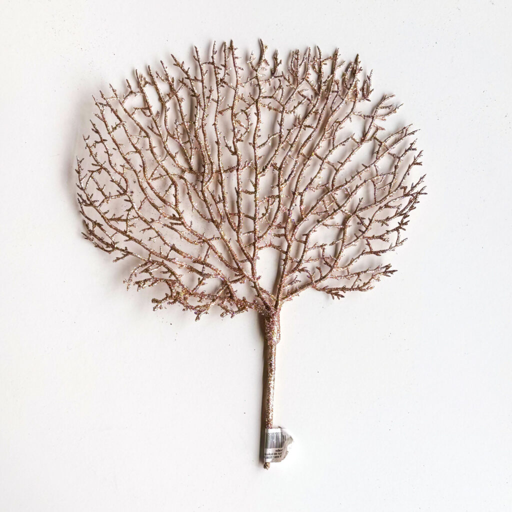 Rama de alga pequeña brillantina champagne