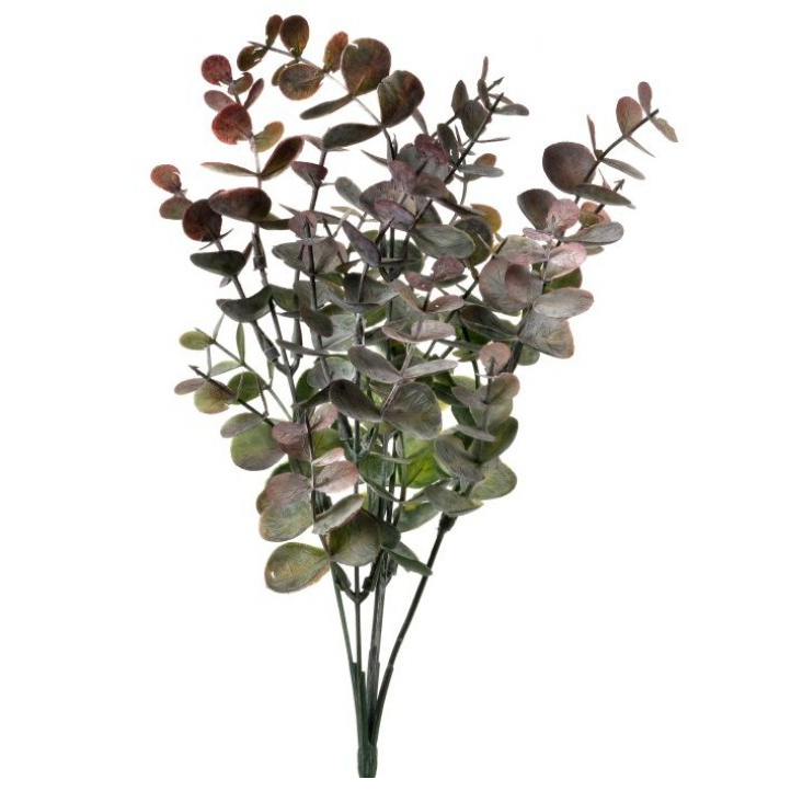 Ramo de Eucalipto Escarchado