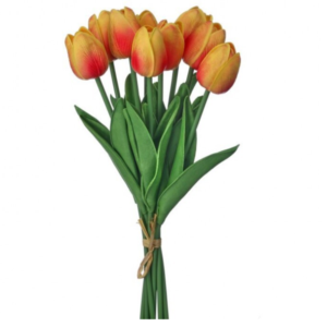 Ramo de Tulipanes