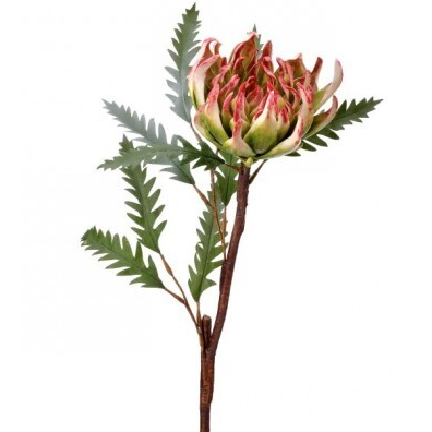 Ramo de Tulipanes Holandeses Naranja