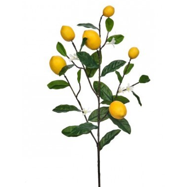 Spray de Limon