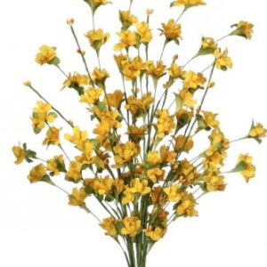 Ramo de Flores Silvestres