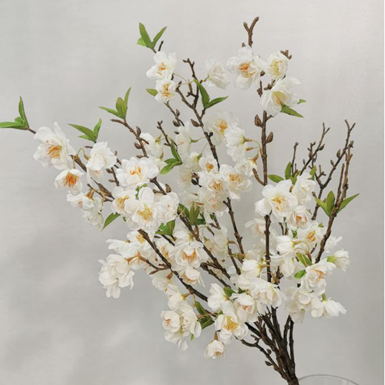 Flores Silvestres de Manzano