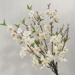 Flores Silvestres de Manzano
