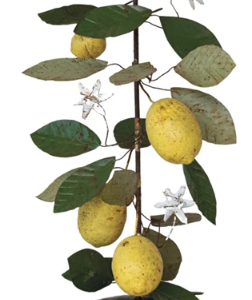 Candelabro, Vintage Lemon