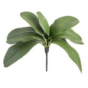 Tallo con 7 hojas de orquidea color verde 12″ Tallo con 7 hojas de orquidea color verde 12″