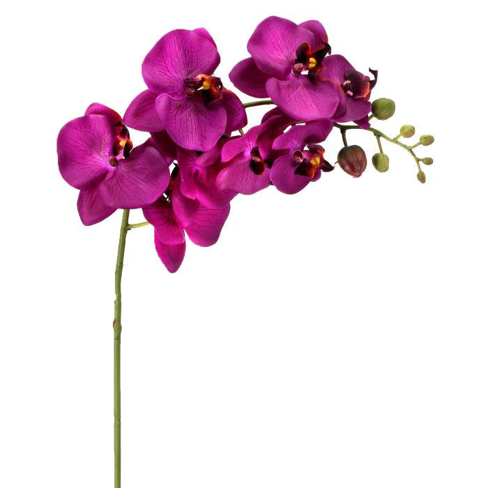 Orquidea de 1 vara color violeta 34″ Orquidea de 1 vara color violeta 34″