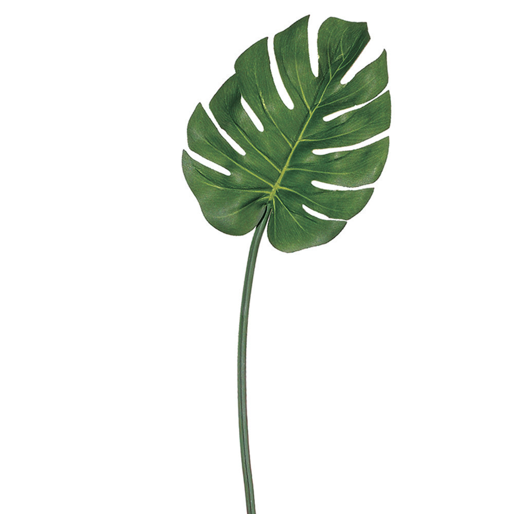 Hoja de palmera verde 30″ Hoja de palmera verde 30″