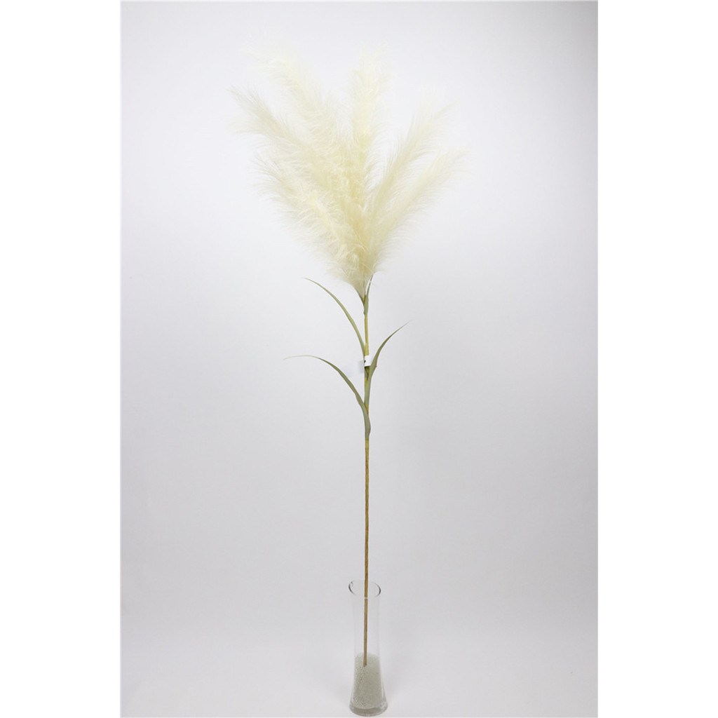 Spray de pampas en color crema 50″