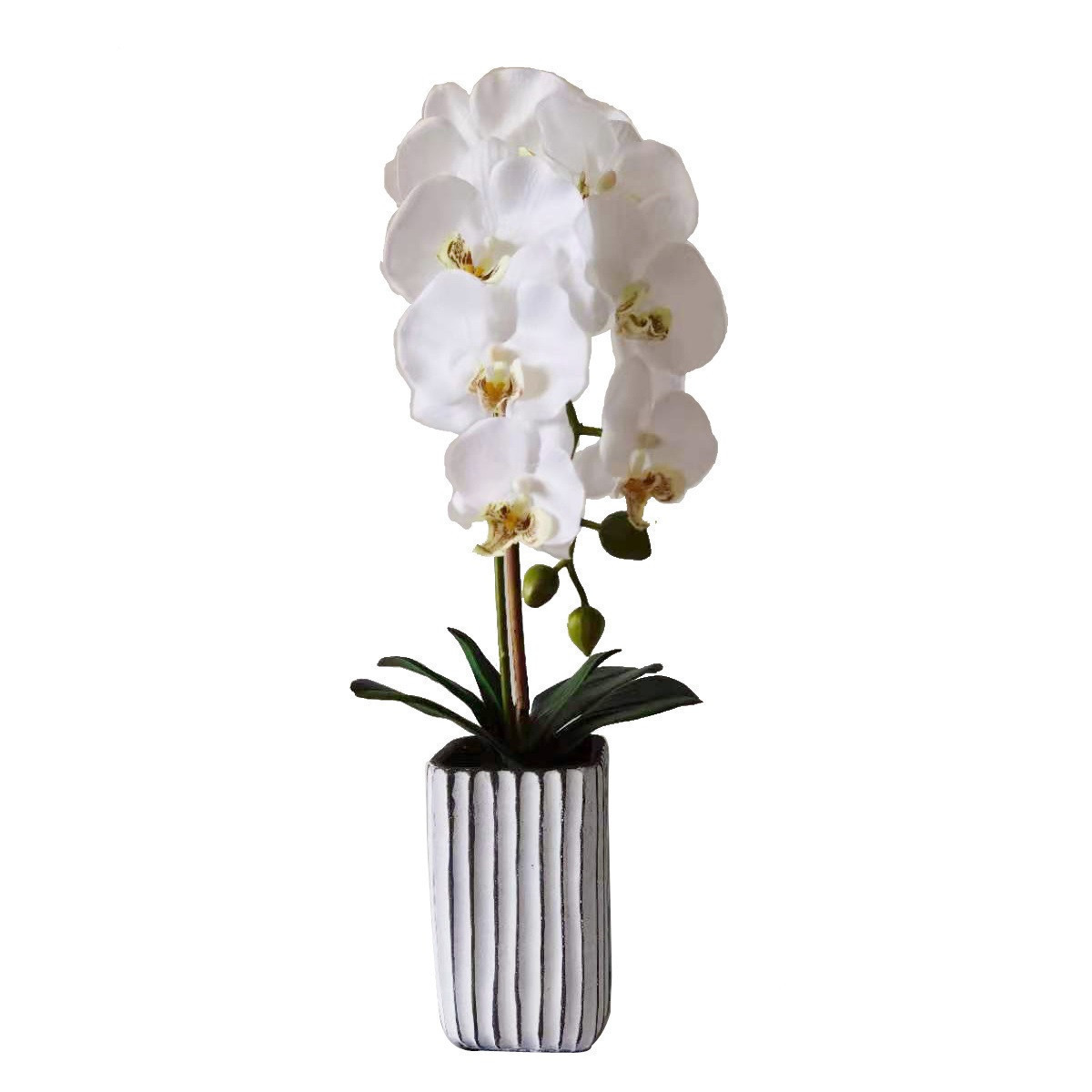 Orquidea Blanca 1 Vara con Maceta