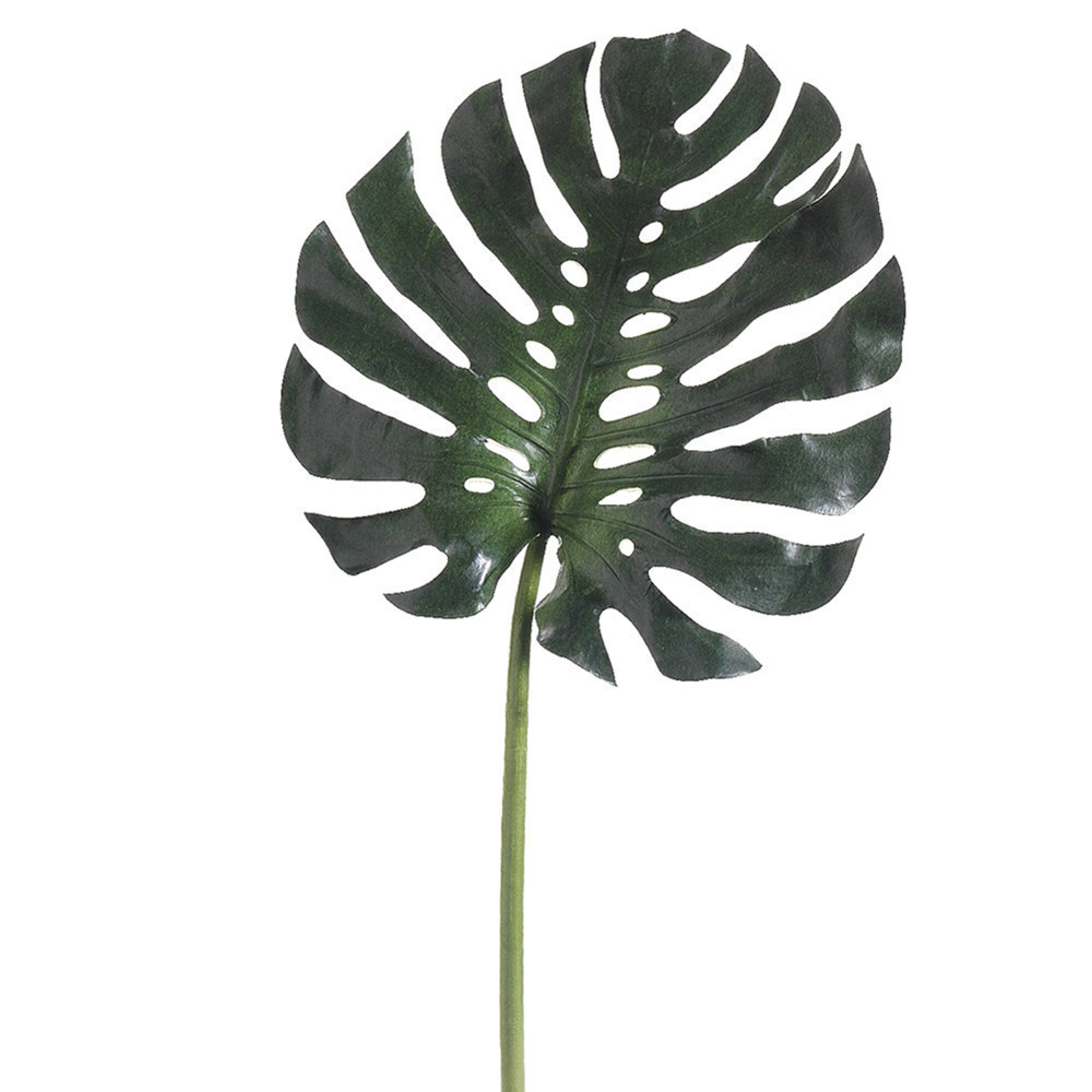 Hoja de monstera 28″