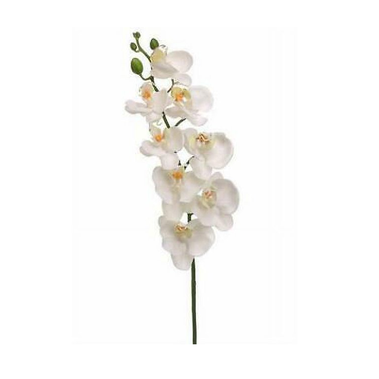 Tallo de orquidea blanca de 26″