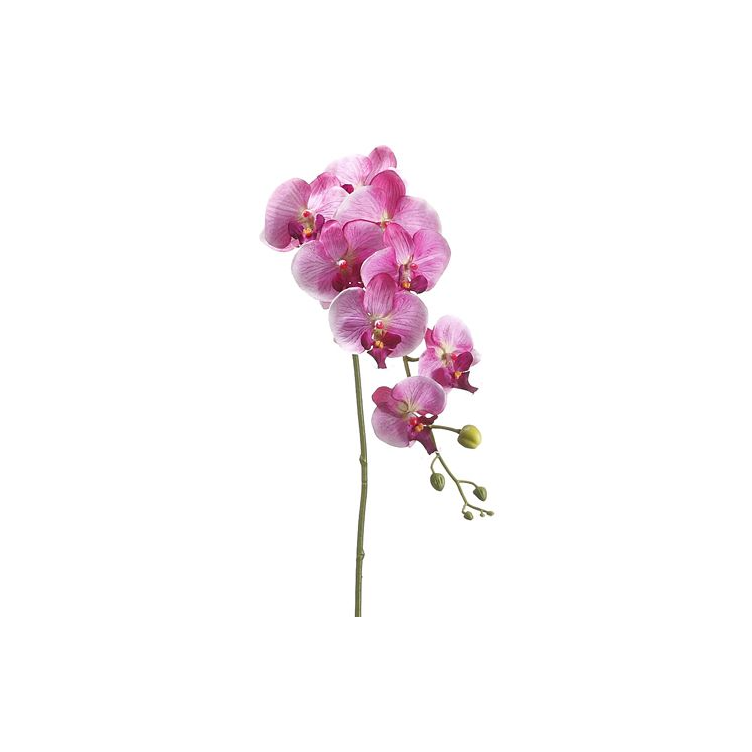 Tallo de orquidea violeta de 40″