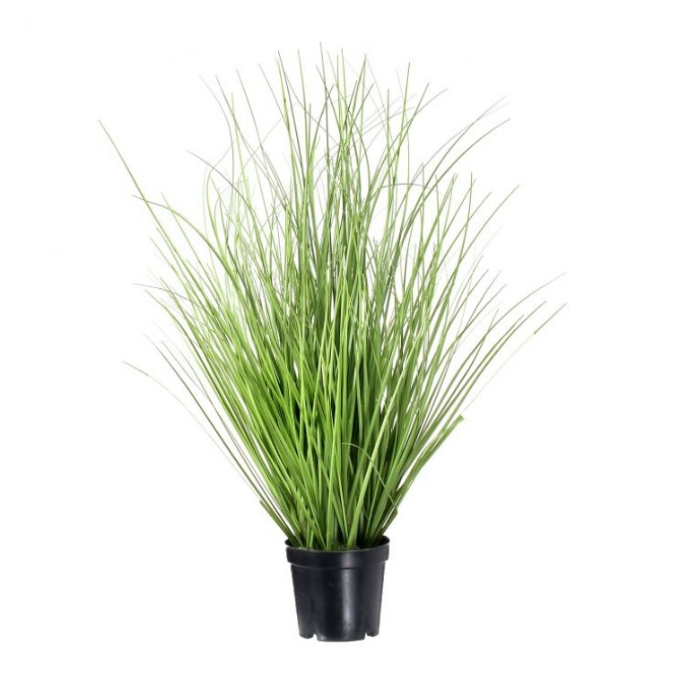 Hierba verde en maceta negra 15″