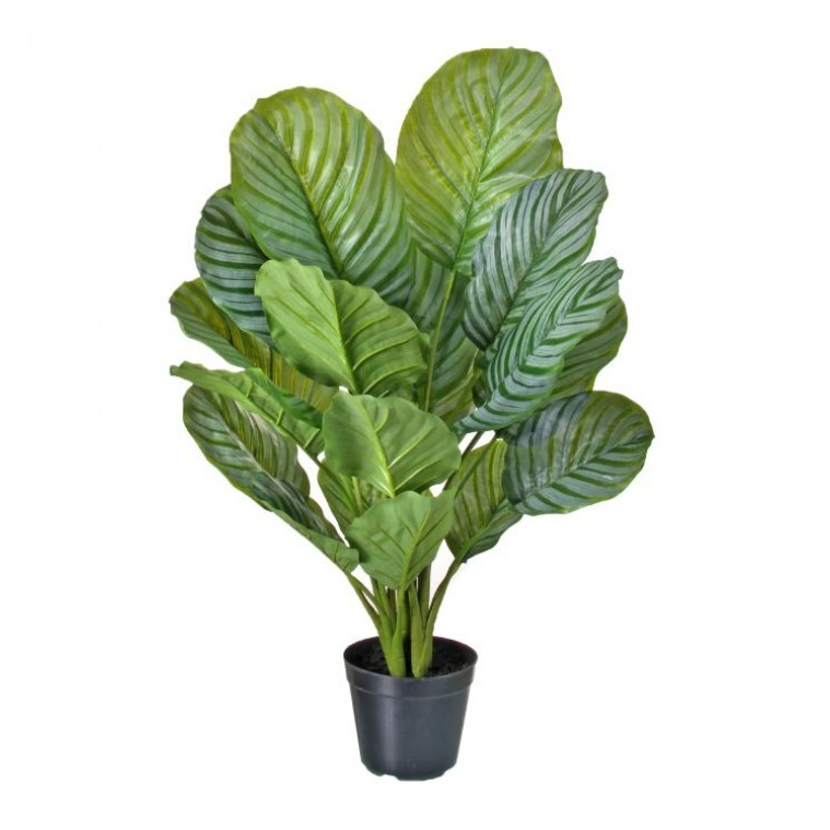 Planta artificial Calathea