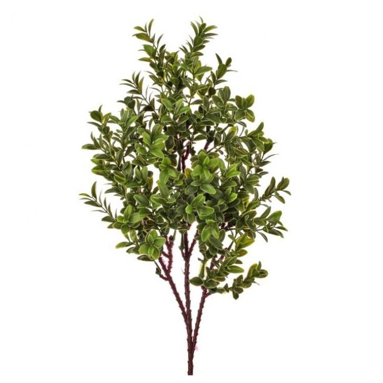 Spray de boxwood 16″