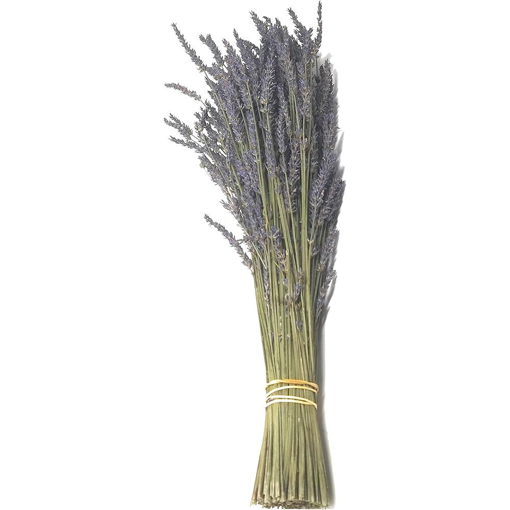 Paquete de  lavanda 9″