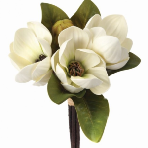 Ramo de Magnolia