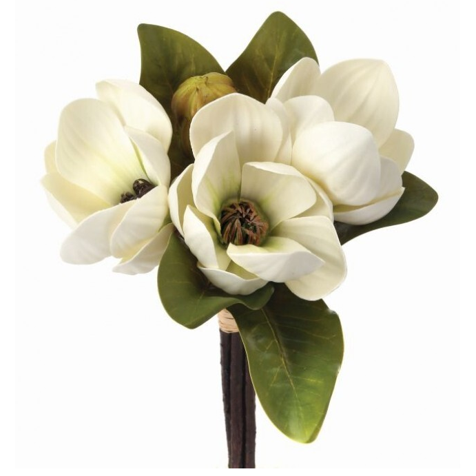 Ramo de Magnolia