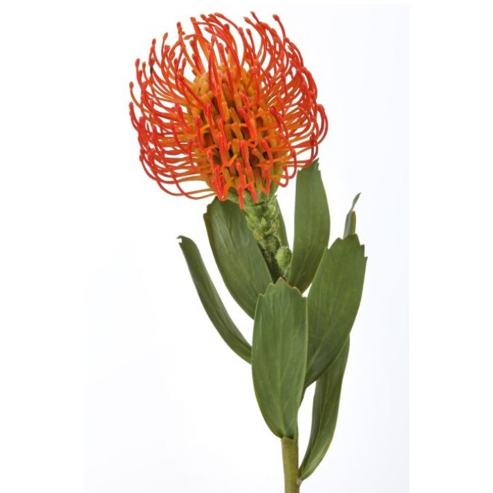 Flor de Alfiler