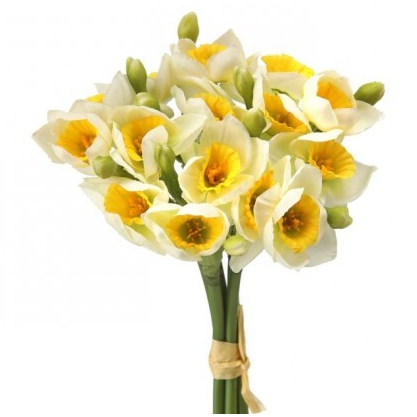 Ramo de Narcisos