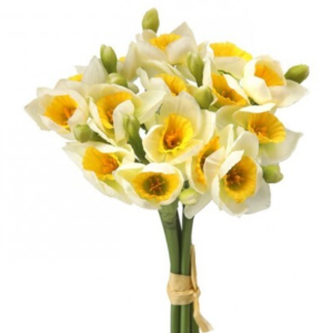 Ramo de Narcisos