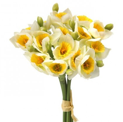 Ramo de Narcisos