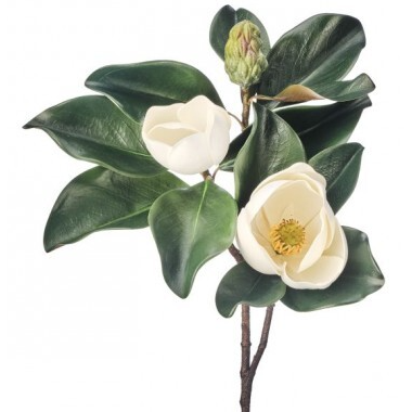 Ramo de Magnolias