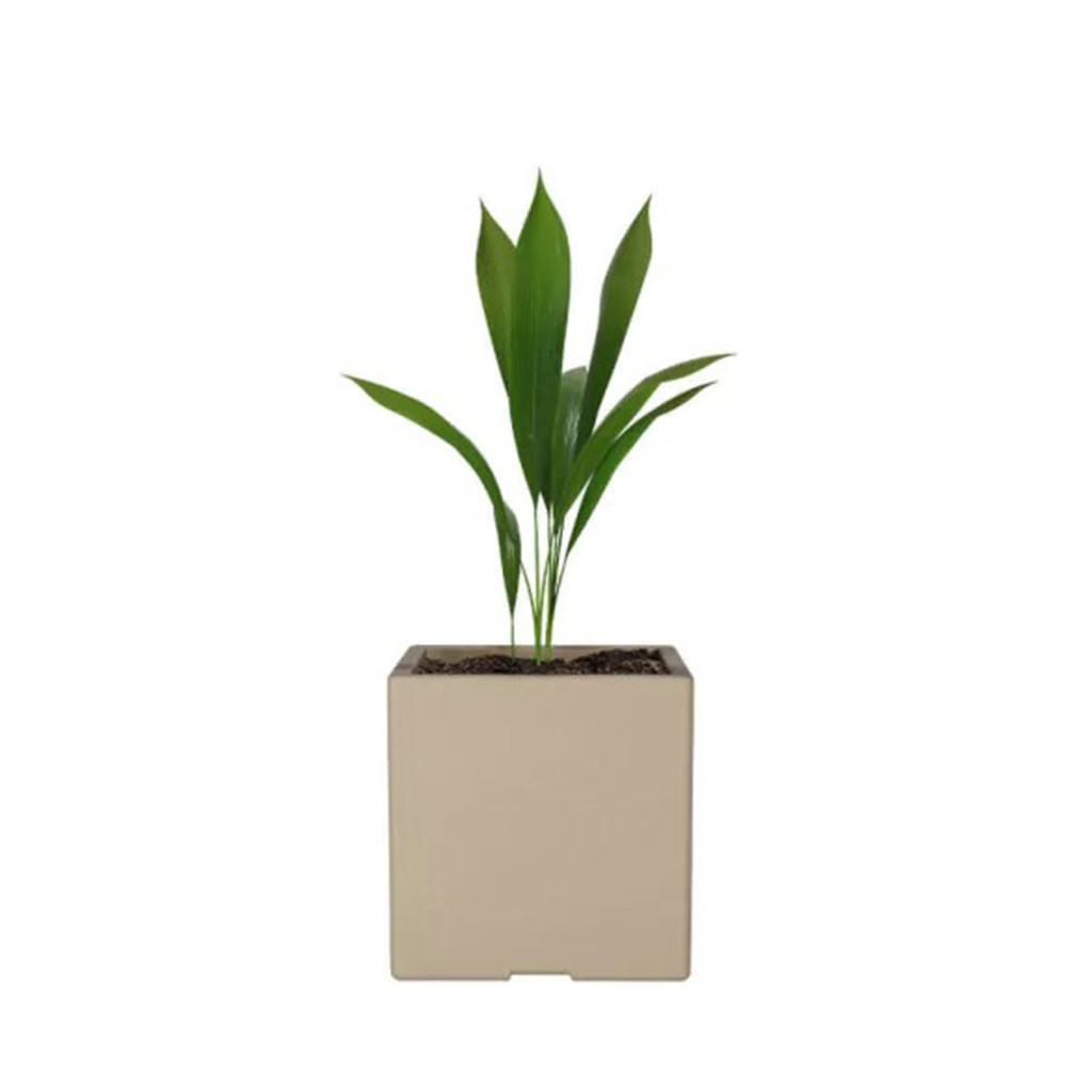 Maceta Rialdi cubo mediana beige mate