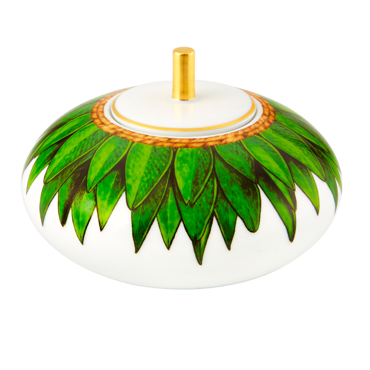 Azucarera de Porcelana, Amazonia