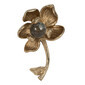 Flor Darby
