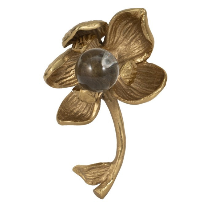 Flor Darby