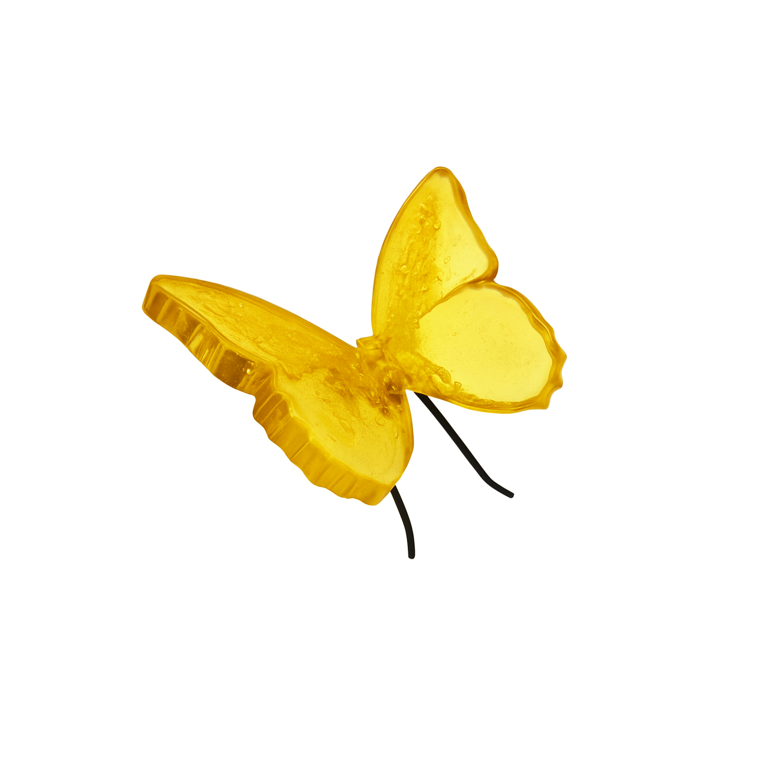 Mariposa Chroma, Amarilla