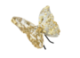 Mariposa Stellar, Oro