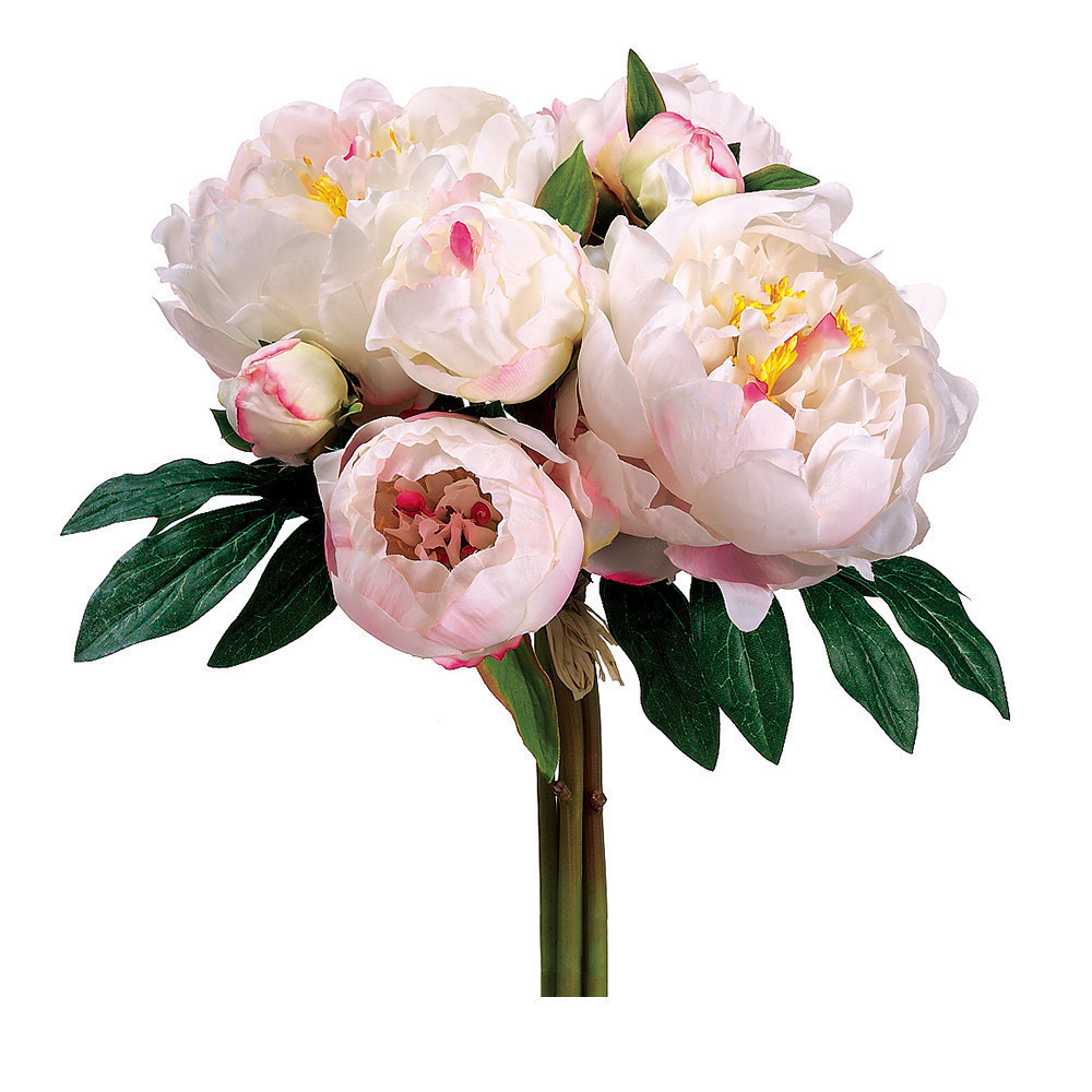 Ramo de Peonia 14″
